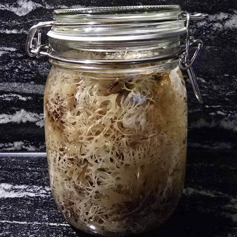 Irisches Moos - Biologisch