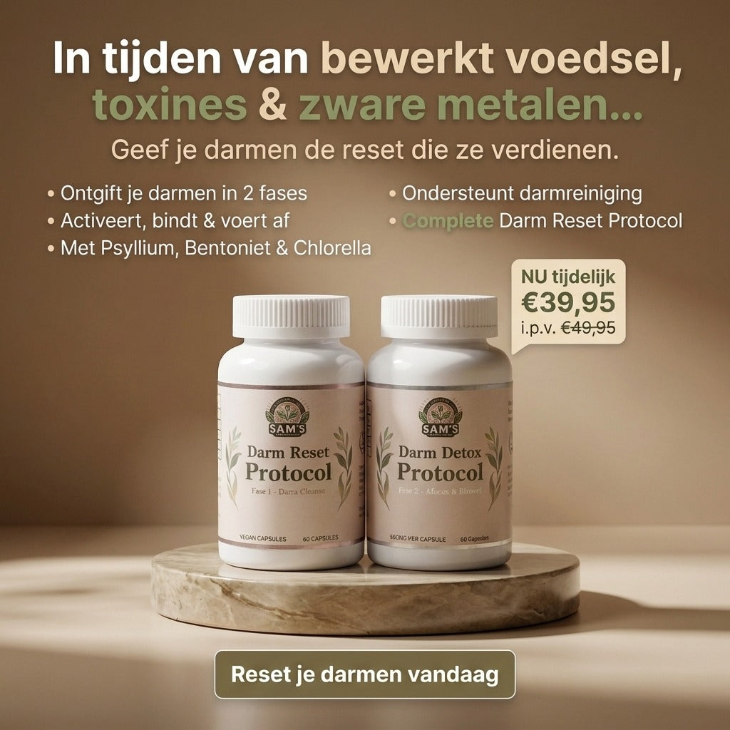 Darm Detox Protokoll