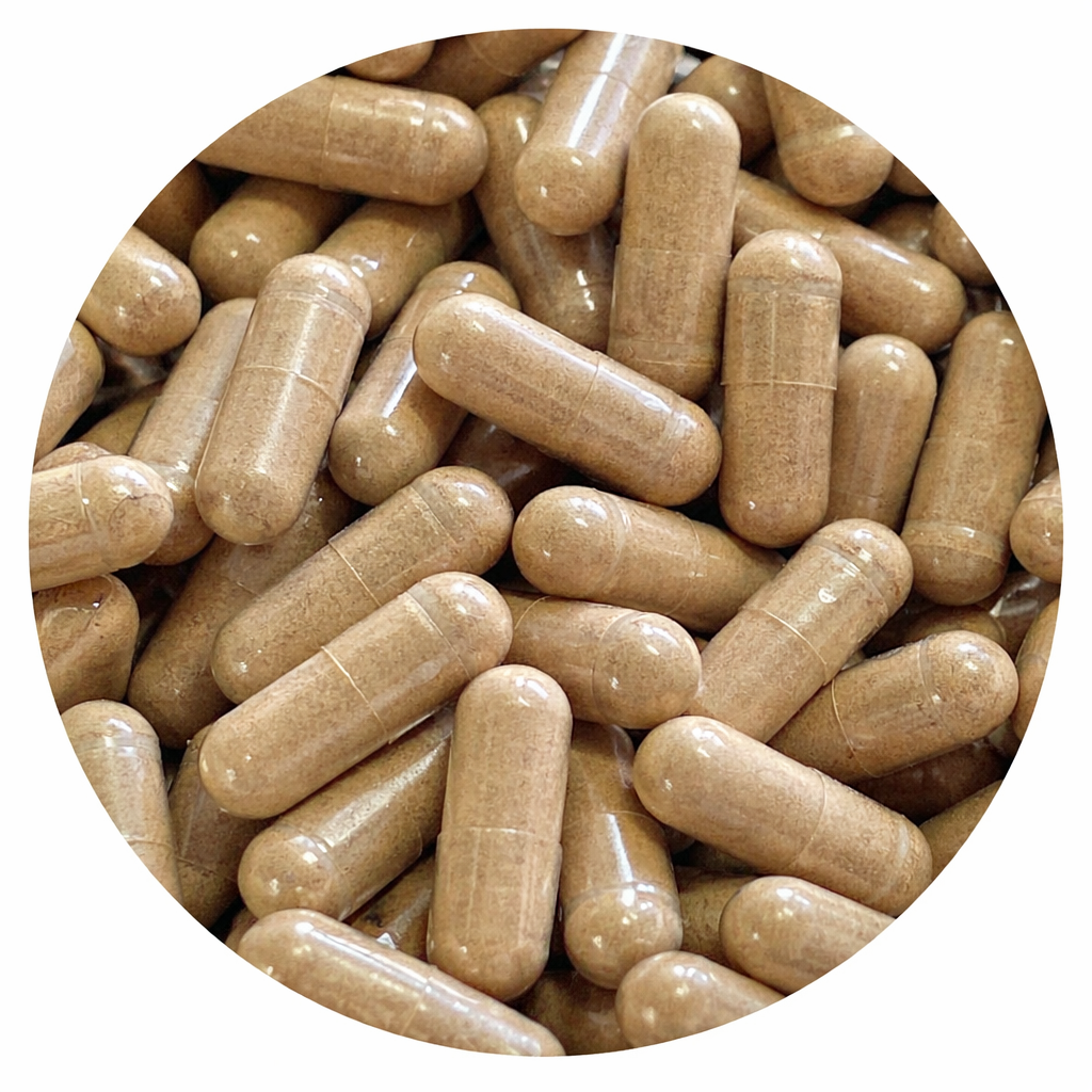Cordyceps Kapseln - Bio