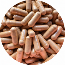 Reishi-Kapseln – Bio
