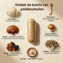 7-Pilze-Mix-Kapseln – Biologisch
