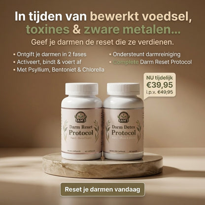 Darm Detox Protokoll