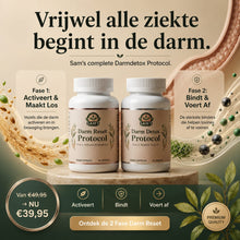 Darm Reset Protokoll