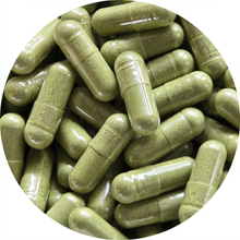 Moringa-Kapseln - Biologisch - 500MG