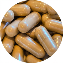 7-Pilze-Mix-Kapseln – Biologisch