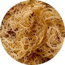 Irisches Moos - Biologisch