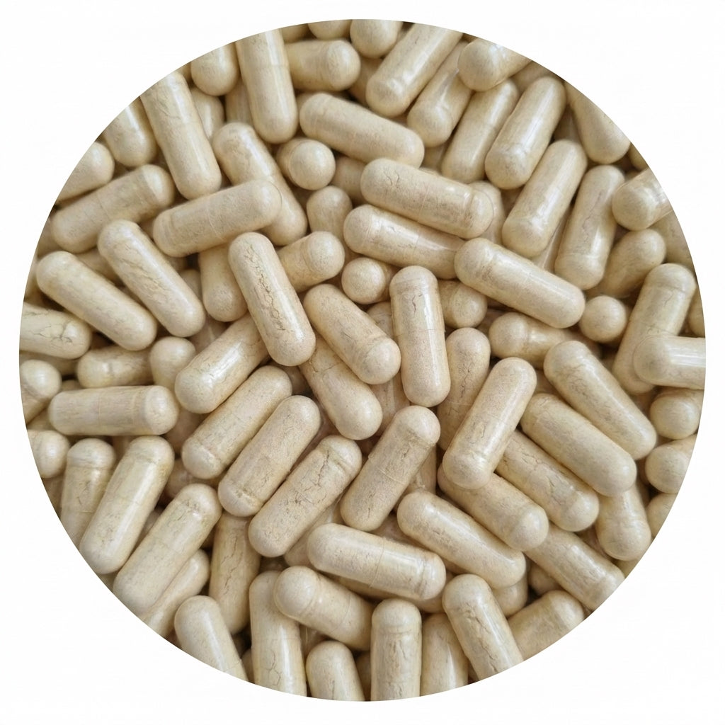 Gelée Royale Kapseln – 100% Rein