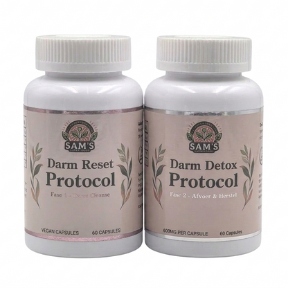 Darm Detox Protokoll